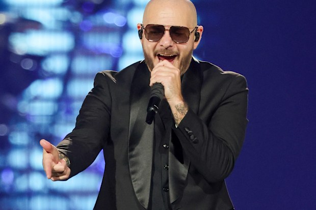 Pitbull