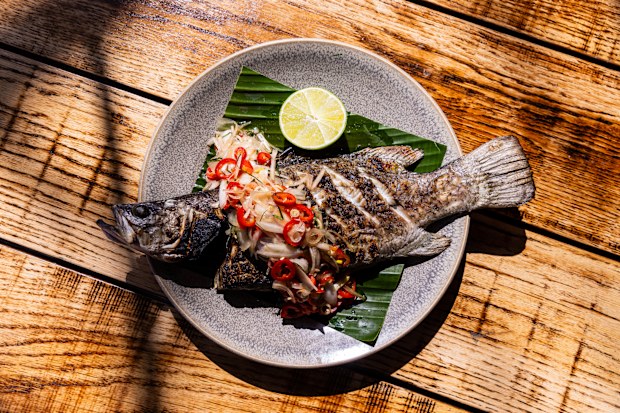 Balinese Style Grilled Barramundi with Sambal Matah