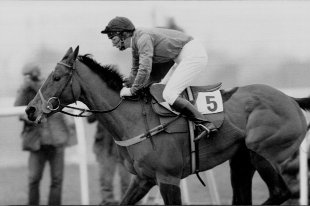 Princess Anne competes at the 1976 Montreal Olympics in the equestrian event.