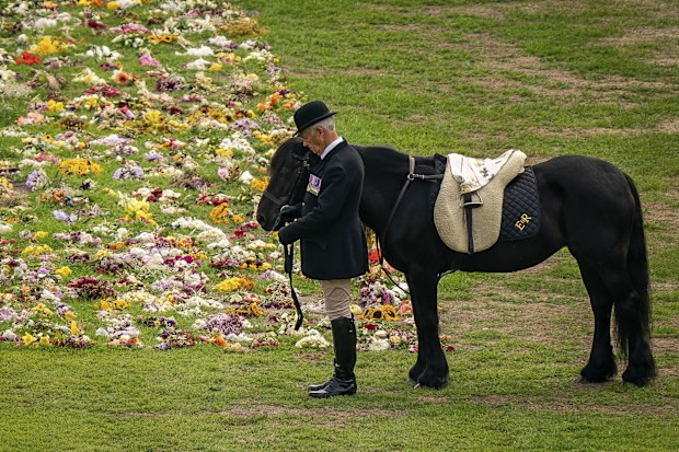 Emma, the monarch's fell pony, stands as the Ceremonial Procession of the coffin of Queen Elizabeth II arrives at Windsor Castle for the Committal Service at St George's Chapel, England, Monday, Sept. 19, 2022. (Aaron Chown/Pool photo via AP)