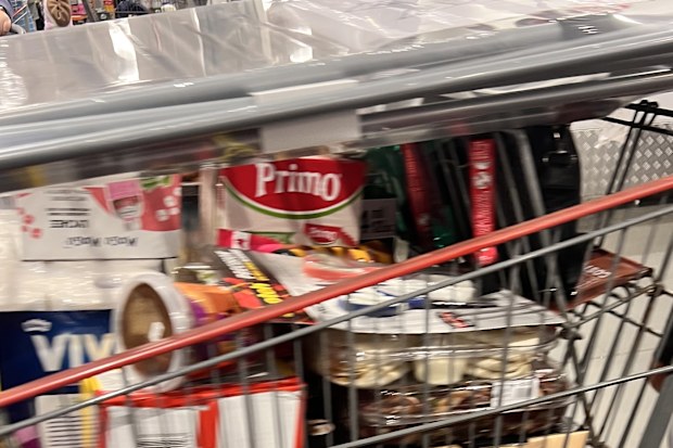 costco most commonly bought items spotted in trolleys at marsden park location in sydney