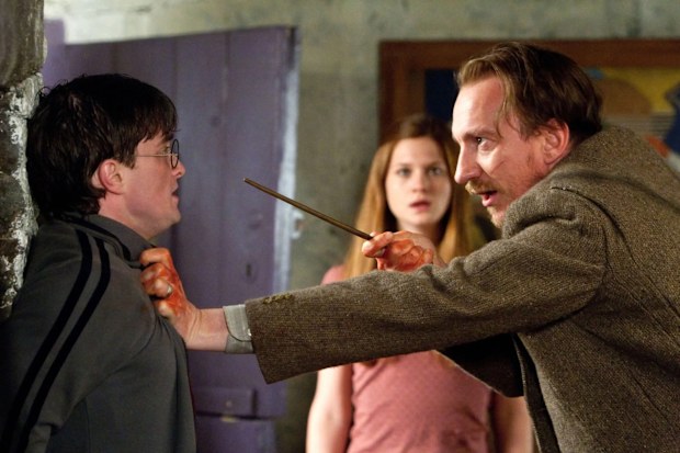 David Thewlis in Harry Potter movies