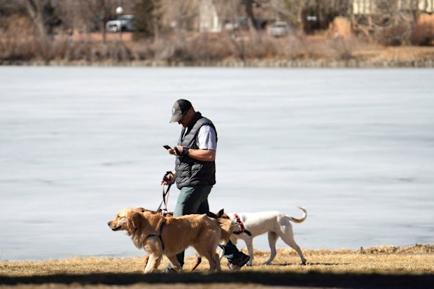 Dog walking
