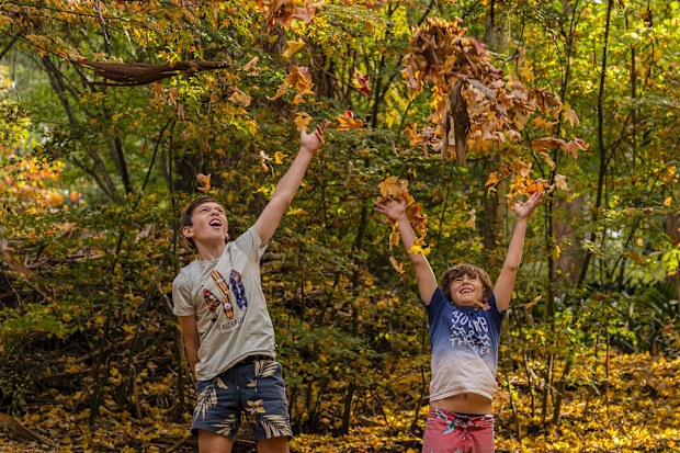Children playing in the autumn leaves at Wildwood Garden, Bilpin.