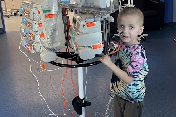 neuroblastoma jack and his family new kitten caviar hills cat rescue the kids cancer project