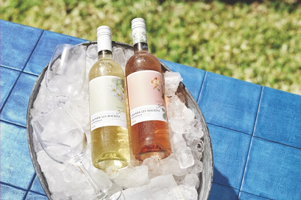 Aldi Summer wine and cheese