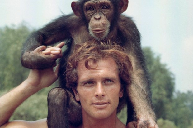 Ron Ely, Tarzan, on set, TV show, monkey