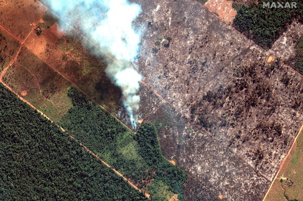 The states that have been most affected by fires this year are Mato Grosso, Para and Amazonia. 