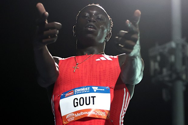 Gout Gout.