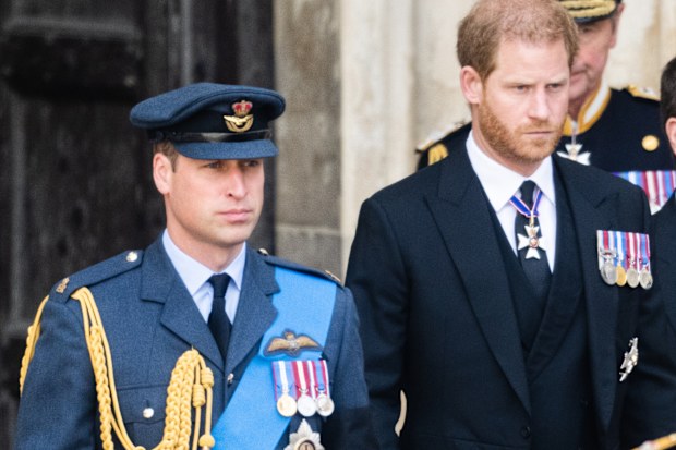 Prince William and Prince Harry relationship 