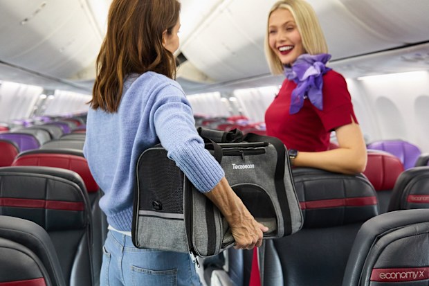 virgin Australia pet flights