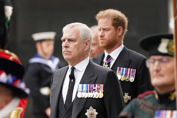 Prince Harry and Prince andrew