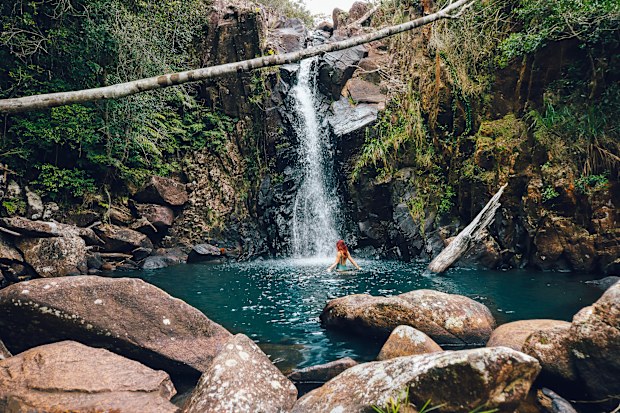  Paluma Range National Park