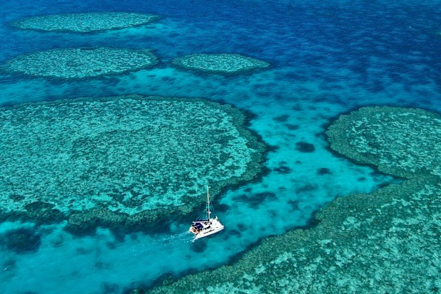 great barrier reef