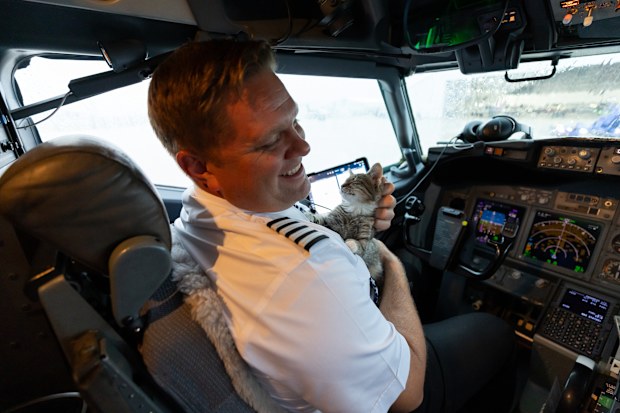 In response to Hurricanes Helene and Milton, Southwest Airlines® partnered with Greater Good Charities and Lucky Dog Animal Rescue, to operate an emergency airlift of about 150 shelter pets impacted by the storms. This emergency airlift from Myrtle Beach to Milwaukee allowed overcrowded shelters to support more displaced and injured pets from these disasters. // Photo Credit: Stephen M. Keller