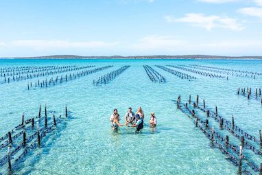 Coffin Bay Oysters