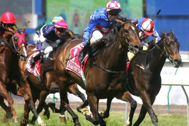 Jokey Glen Boss, Makybe Diva'yı üçüncü Melbourne Cup zaferine götürüyor.