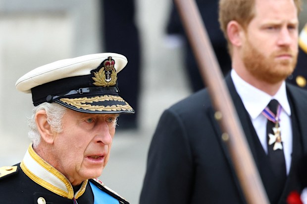 king charles and prince harry