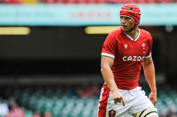 Rugby Australia news 2024: Wales squad named to play Wallabies, James ...