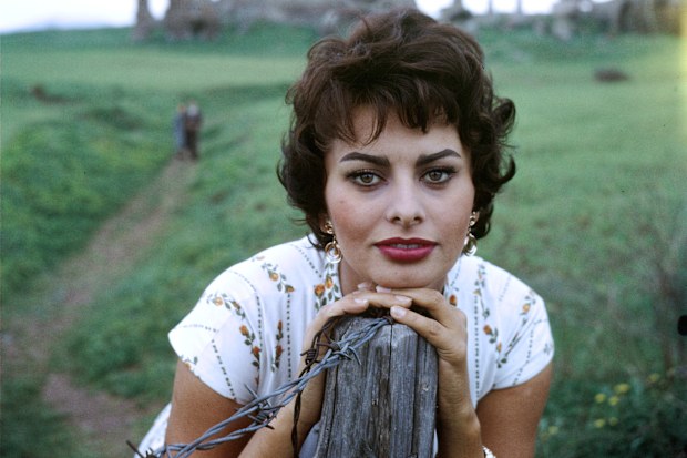 Sophia Loren