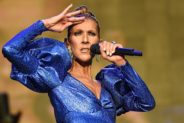 Céline Dion, singing, concert, on stage