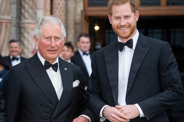 prince harry in the dark about king charles cancer battle calls and letters go unanswered