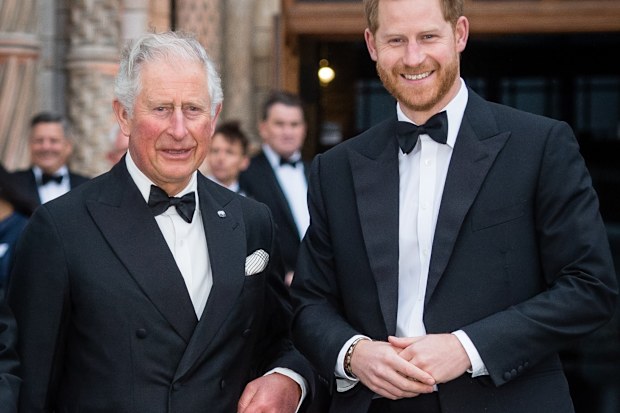 king charles coronation prince harry to attend alone