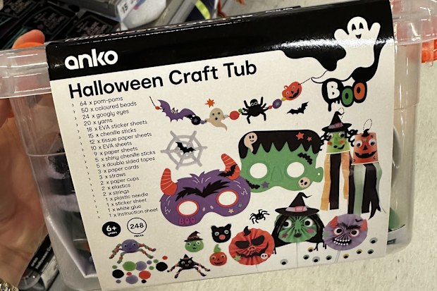 Kmart Halloween craft 