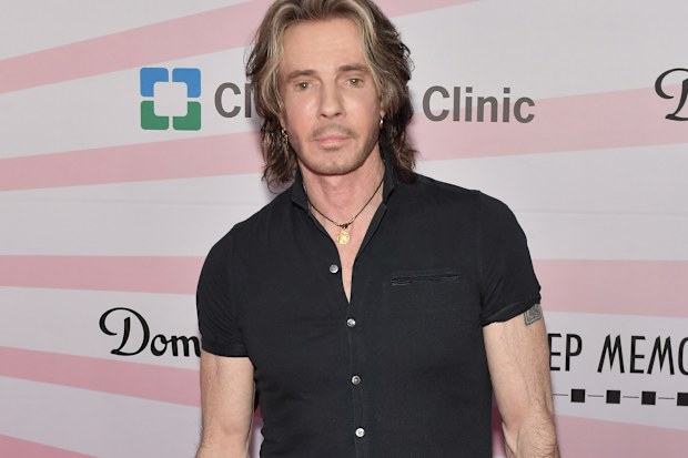rick springfield brain injury