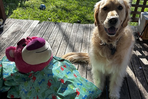 Nelson celebrating his third birthday