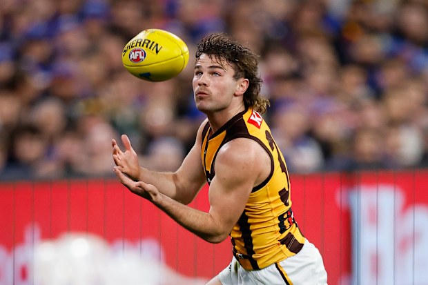 AFL News 2024: Hawthorn defeat Western Bulldogs elimination final, Sam ...