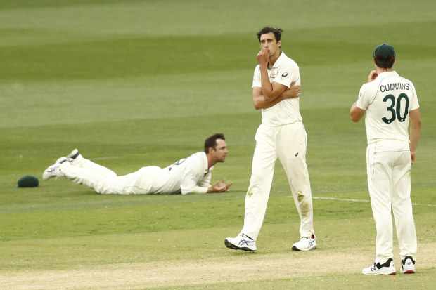 Mitchell Starc of Australia reacts after Travis Head drops a catch.