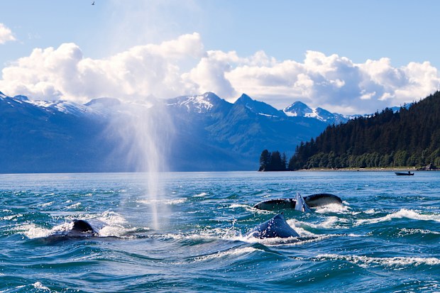JUneau Alaska cruise
