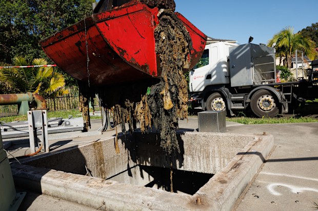 Fatberg chokes can turn into