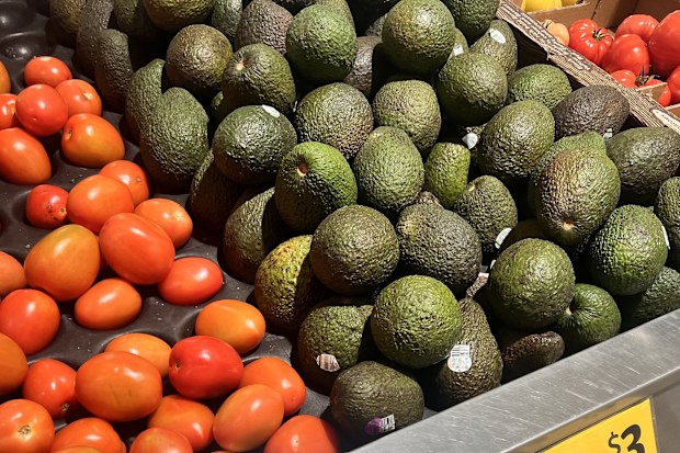 tomatoes cost and availability shortage and surge in price australia explainer