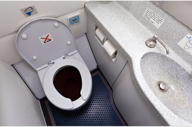 A flight attendant is claiming sexual harassment against a disabled passenger who made her help him go to the toilet.