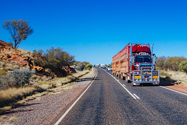 5. Road train drivers