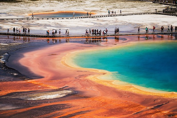 Yellowstone National Park, Wyoming, USA