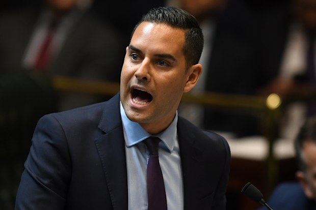 Independent MP Alex Greenwich said the lower house and people across the state had sent a clear message that it was time to decriminalise abortion.