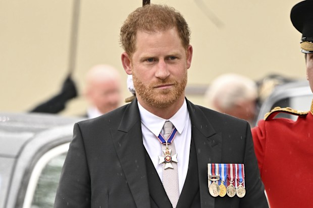 prince harry