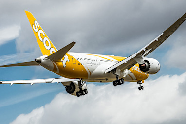 9. Scoot