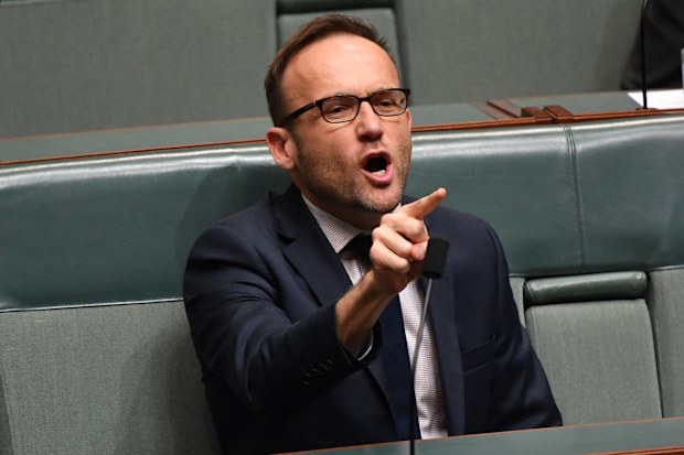 Greens MP Adam Bandt is preparing to bring a no confidence motion to Parliament against Peter Dutton.
