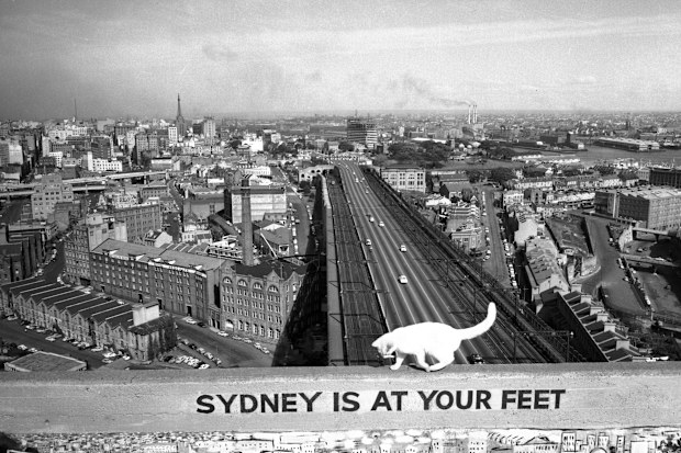 The Sydney city skyline as it looked in 1957.