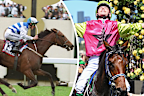 Ethereal (2001) and Knight's Choice (2024) are both Melbourne Cup winners.