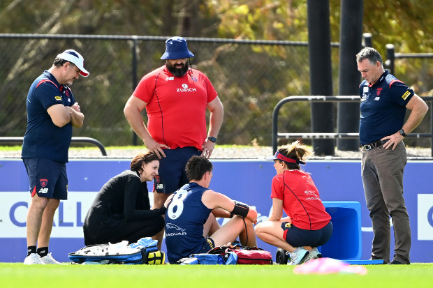 Melbourne medical staff and Alan Richardson attend to Jake Lever during pre-season training.
