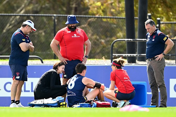 Melbourne medical staff and Alan Richardson attend to Jake Lever during pre-season training.