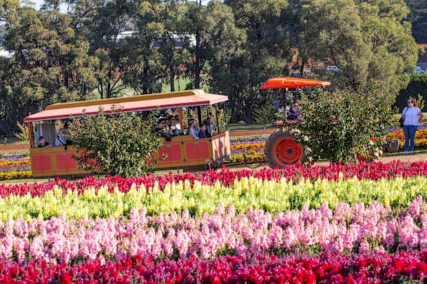 Kabloom Flower Festival