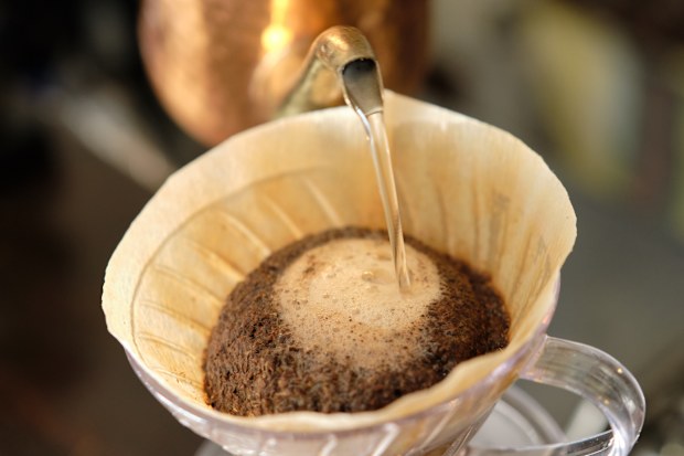 coffee filter