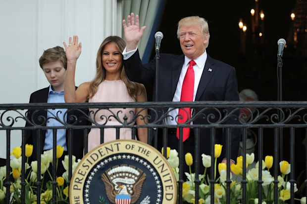barron trump
