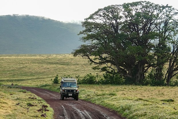 Tanzania - Ngorongoro National Park